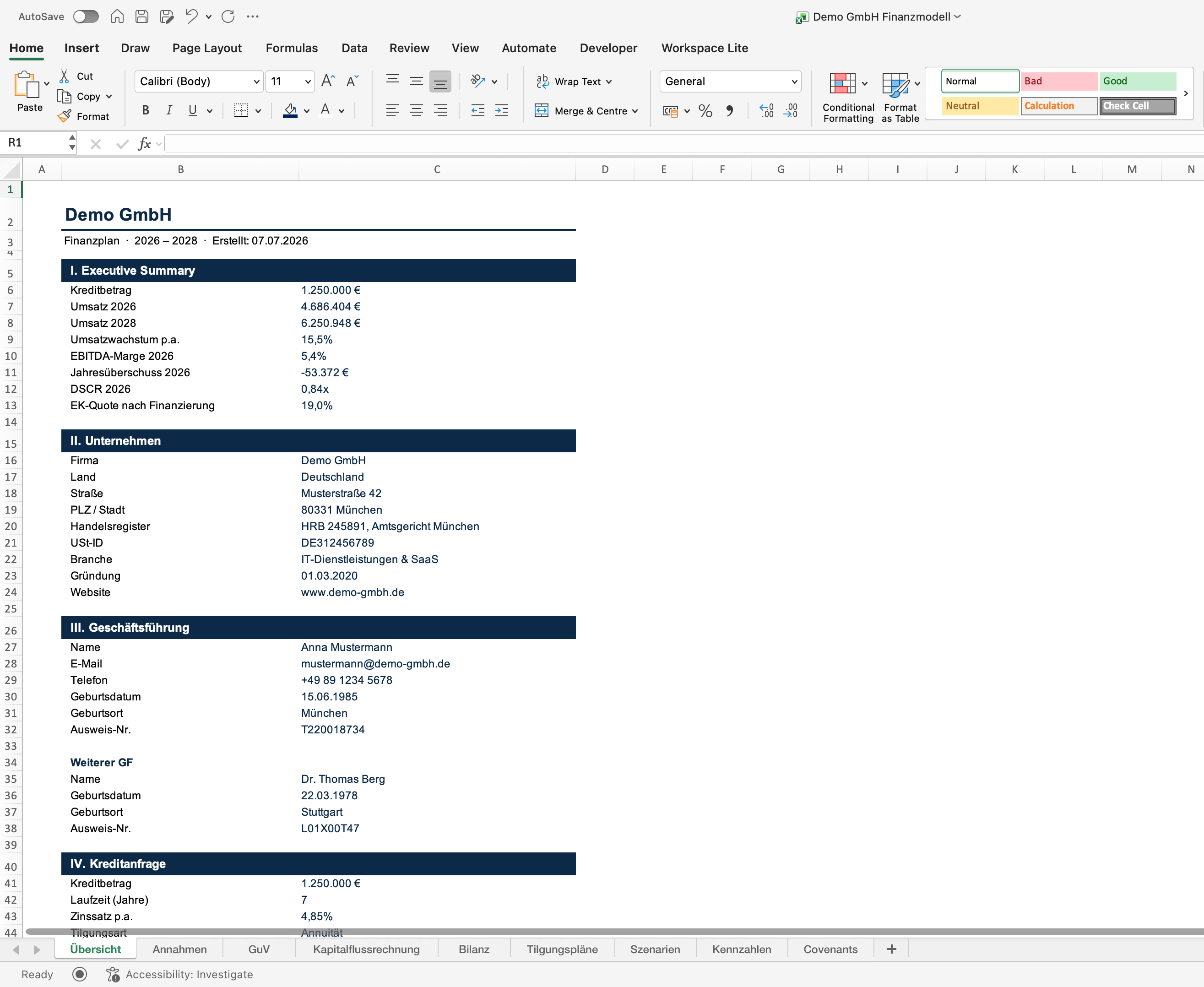 Planvik Finanzplan: Excel-Vorschau